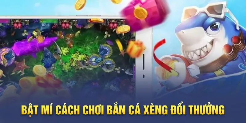 Kinh nghiệm tham gia săn cá hiệu quả